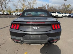Used 2024  Ford Mustang EcoBoost Convertible at Dime Down by Frank Leta near Bridgeton, MO