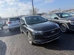 Used 2025  Ford Escape ST-Line FWD at Dime Down by Frank Leta near Bridgeton&comma; MO