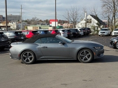 Used 2024  Ford Mustang EcoBoost Convertible at Dime Down by Frank Leta near Bridgeton&comma; MO
