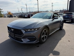 Used 2024  Ford Mustang EcoBoost Convertible at Dime Down by Frank Leta near Bridgeton, MO