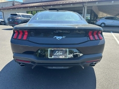 Used 2024 Ford Mustang EcoBoost Fastback at Dime Down by Frank Leta near Bridgeton, MO