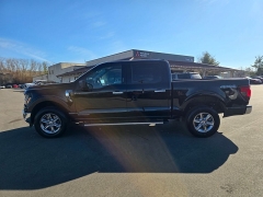 Used 2024  Ford F-150 XLT 4WD SuperCrew Box at Dime Down by Frank Leta near Bridgeton&comma; MO
