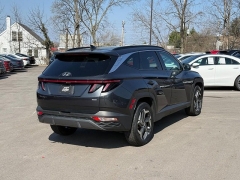 Used 2024  Hyundai Tucson Limited AWD at Dime Down by Frank Leta near Bridgeton&comma; MO