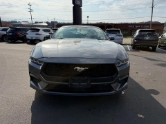 Used 2024  Ford Mustang EcoBoost Convertible at Dime Down by Frank Leta near Bridgeton&comma; MO