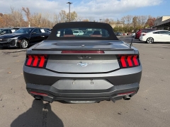 Used 2024  Ford Mustang EcoBoost Convertible at Dime Down by Frank Leta near Bridgeton, MO
