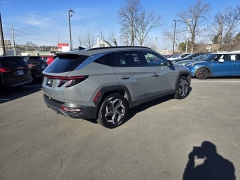Used 2024  Hyundai Tucson Limited AWD at Dime Down by Frank Leta near Bridgeton&comma; MO