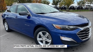 Vehicle Image Preview