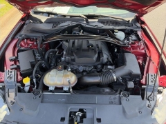 Used 2018  Ford Mustang 2d Fastback EcoBoost at Clutts Auto Sales near Hazard&comma; KY