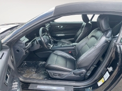 Used 2025  Ford Mustang EcoBoost Premium Convertible at Raceway Motors near Lufkin&comma; TX