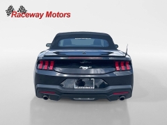 Used 2025  Ford Mustang EcoBoost Premium Convertible at Raceway Motors near Lufkin&comma; TX