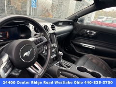 Used 2023 Ford Mustang GT Fastback at DriveNow Mayfield near Mayfield Heights, OH