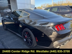 Used 2024  Ford Mustang GT Fastback at Drive Now Westlake near Westlake&comma; OH