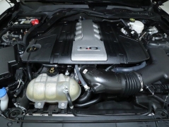 Used 2020  Ford Mustang GT Fastback at Drive Now Westlake near Westlake&comma; OH