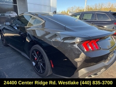 Used 2024  Ford Mustang GT Fastback at Drive Now Westlake near Westlake&comma; OH