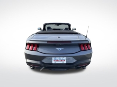 Used 2024 Ford Mustang EcoBoost Premium Convertible at Mike Burkart Ford near Plymouth, WI