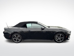 Used 2024 Ford Mustang EcoBoost Convertible at Mike Burkart Ford near Plymouth, WI