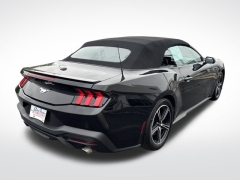 Used 2024 Ford Mustang EcoBoost Convertible at Mike Burkart Ford near Plymouth, WI