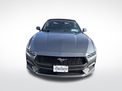 Used 2024 Ford Mustang EcoBoost Premium Convertible at Mike Burkart Ford near Plymouth, WI
