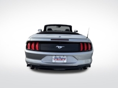 Used 2023  Ford Mustang EcoBoost Convertible at Mike Burkart Ford near Plymouth&comma; WI