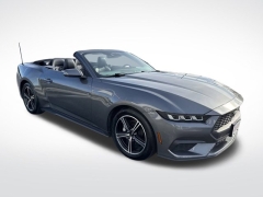Used 2024 Ford Mustang EcoBoost Premium Convertible at Mike Burkart Ford near Plymouth, WI