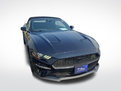 Used 2021 Ford Mustang EcoBoost Convertible at Mike Burkart Ford near Plymouth, WI