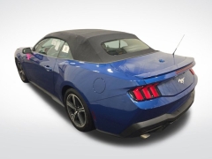 Used 2024  Ford Mustang EcoBoost Convertible at Mike Burkart Ford near Plymouth, WI