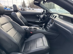 Used 2023  Ford Mustang EcoBoost Convertible at Mike Burkart Ford near Plymouth&comma; WI