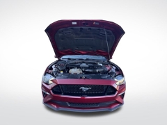 Used 2019  Ford Mustang 2d Fastback GT Premium at Mike Burkart Ford near Plymouth&comma; WI