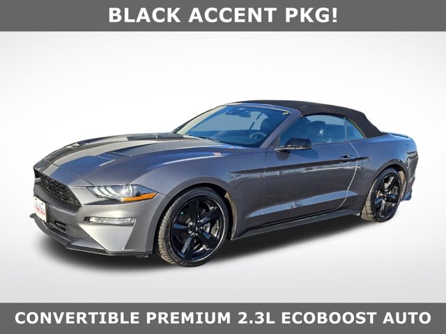 Used 2021  Ford Mustang EcoBoost Convertible at Mike Burkart Ford near Plymouth, WI