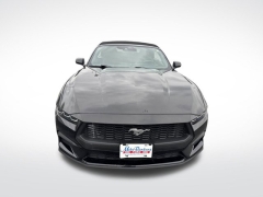Used 2024 Ford Mustang EcoBoost Convertible at Mike Burkart Ford near Plymouth, WI