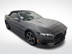 Used 2024 Ford Mustang EcoBoost Premium Convertible at Mike Burkart Ford near Plymouth, WI