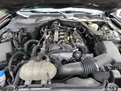 Used 2022 Ford Mustang EcoBoost Convertible at Mike Burkart Ford near Plymouth, WI