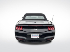 Used 2024 Ford Mustang EcoBoost Convertible at Mike Burkart Ford near Plymouth, WI