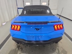 Used 2024 Ford Mustang EcoBoost Convertible at Mike Burkart Ford near Plymouth, WI