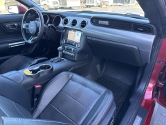 Used 2019  Ford Mustang 2d Fastback GT Premium at Mike Burkart Ford near Plymouth&comma; WI