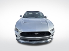 Used 2023  Ford Mustang EcoBoost Convertible at Mike Burkart Ford near Plymouth&comma; WI