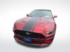 Used 2019 Ford Mustang 2d Convertible GT Premium at Mike Burkart Ford near Plymouth, WI