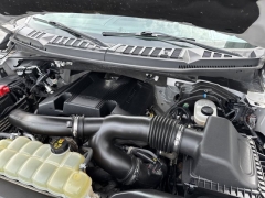 Used 2019 Ford F-150 4WD SuperCrew Box at Mike Burkart Ford near Plymouth, WI