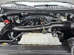 Used 2025  Ford Expedition Active 4x4 at Mike Burkart Ford near Plymouth&comma; WI