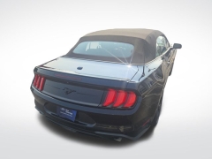 Used 2021 Ford Mustang EcoBoost Convertible at Mike Burkart Ford near Plymouth, WI