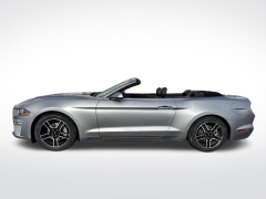 Used 2023  Ford Mustang EcoBoost Convertible at Mike Burkart Ford near Plymouth&comma; WI