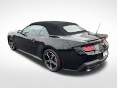 Used 2024 Ford Mustang EcoBoost Convertible at Mike Burkart Ford near Plymouth, WI