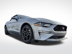Used 2023  Ford Mustang EcoBoost Convertible at Mike Burkart Ford near Plymouth&comma; WI