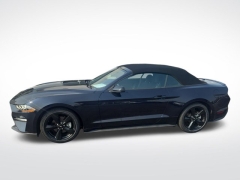 Used 2021 Ford Mustang EcoBoost Convertible at Mike Burkart Ford near Plymouth, WI
