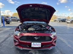 Used 2018  Ford Mustang EcoBoost Convertible at Mike Burkart Ford near Plymouth, WI