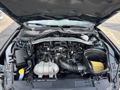 Used 2019 Ford Mustang 2d Fastback BULLITT at Mike Burkart Ford near Plymouth, WI
