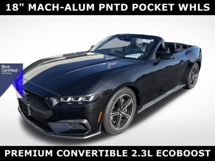 Used 2024 Ford Mustang EcoBoost Premium Convertible at Mike Burkart Ford near Plymouth, WI