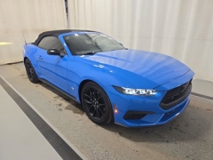 Used 2024 Ford Mustang EcoBoost Convertible at Mike Burkart Ford near Plymouth, WI