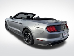 Used 2023  Ford Mustang EcoBoost Convertible at Mike Burkart Ford near Plymouth&comma; WI