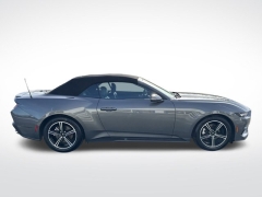 Used 2024 Ford Mustang EcoBoost Premium Convertible at Mike Burkart Ford near Plymouth, WI